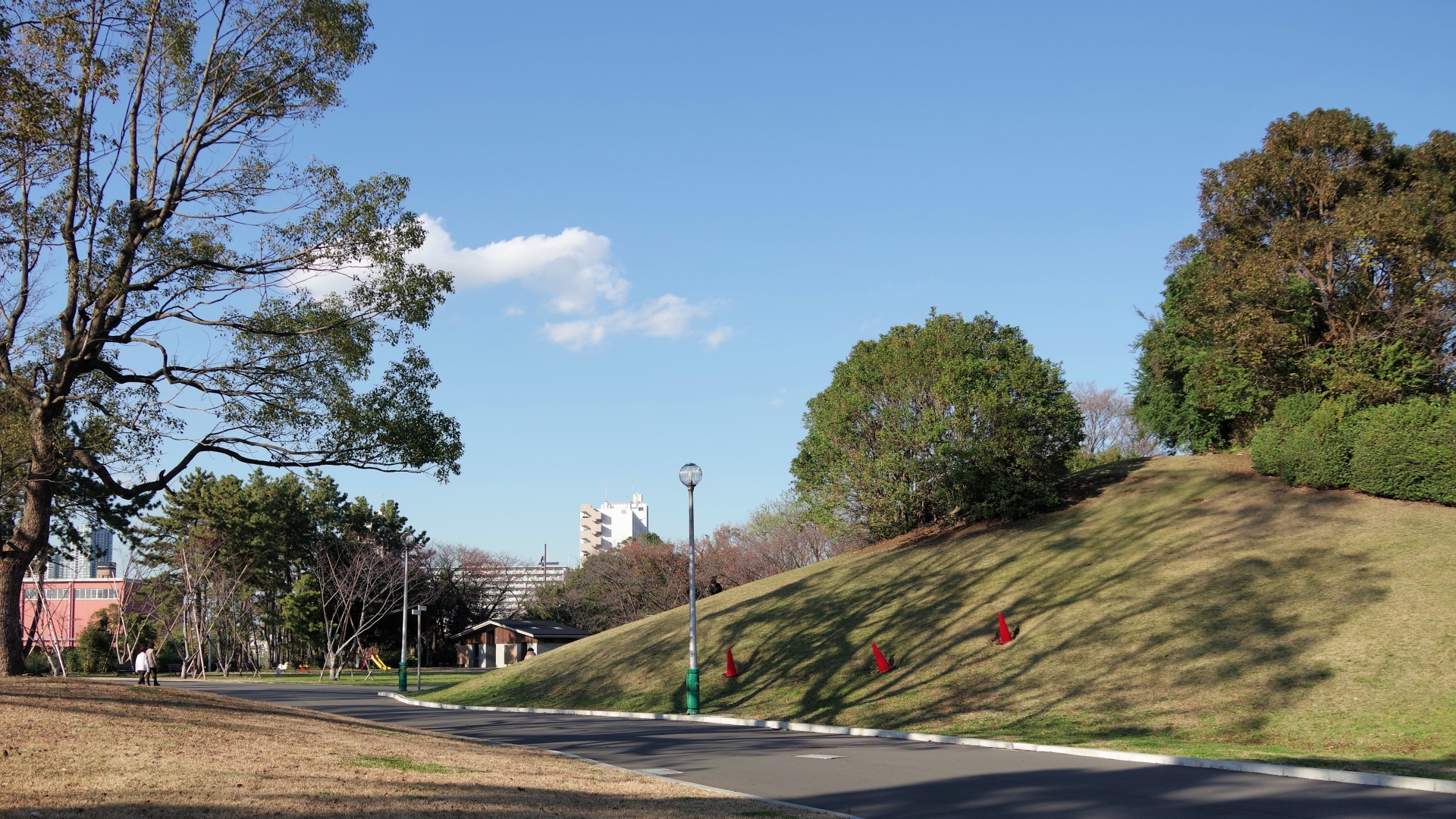 辰巳の森緑道公園の画像